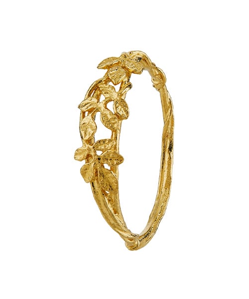 Product shot of Rosa Petalum Band by Alex Monroe Jewellery
