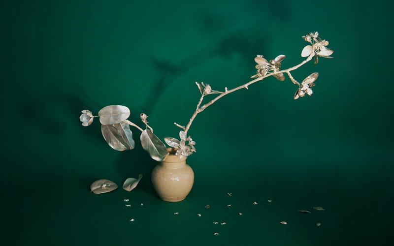 Large silver floral stem displayed in a stoneware vase against pale grey background on a green surface with natural sunlight.