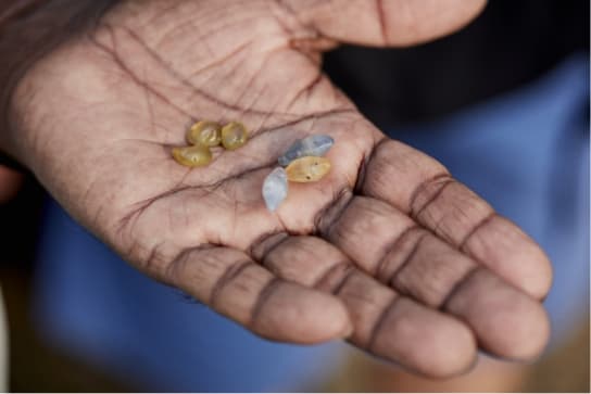 A trader holding a selection of rough, uncut sapphires at a gemstone street market in Sri Lanka.