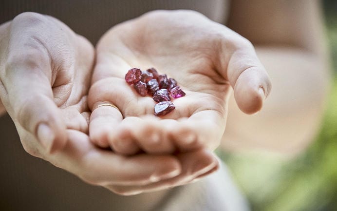 A small selection of wine-red, uncut sapphires held in the palm of a hand.