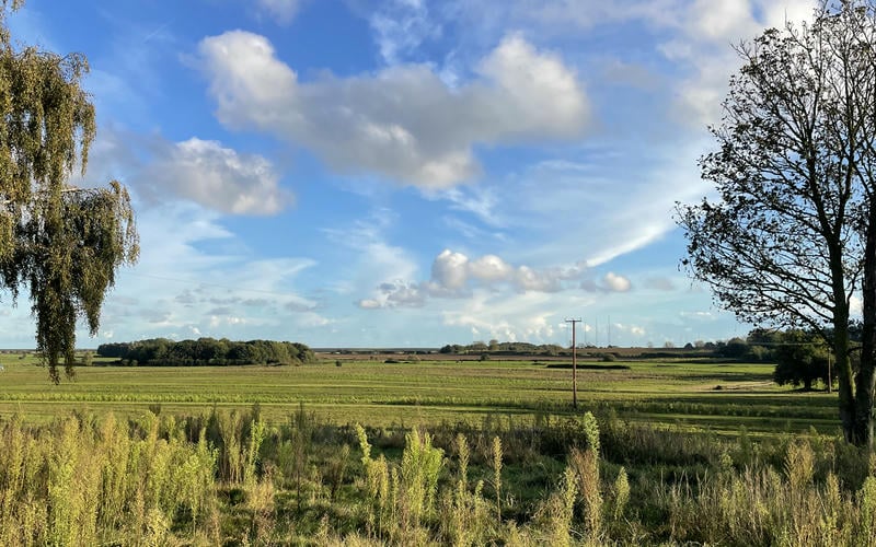 Suffolk landscape of green filds, hedges, trees and blue sky with wispy white clouds. A wooden telephone pole in the foreground.