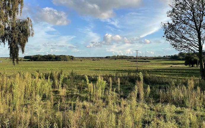 Suffolk countryside with blue sky, green fields and trees to the left and right of the photo.