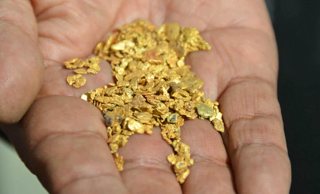 A miner's hand holding a palmful of small, fairmined gold pices.
