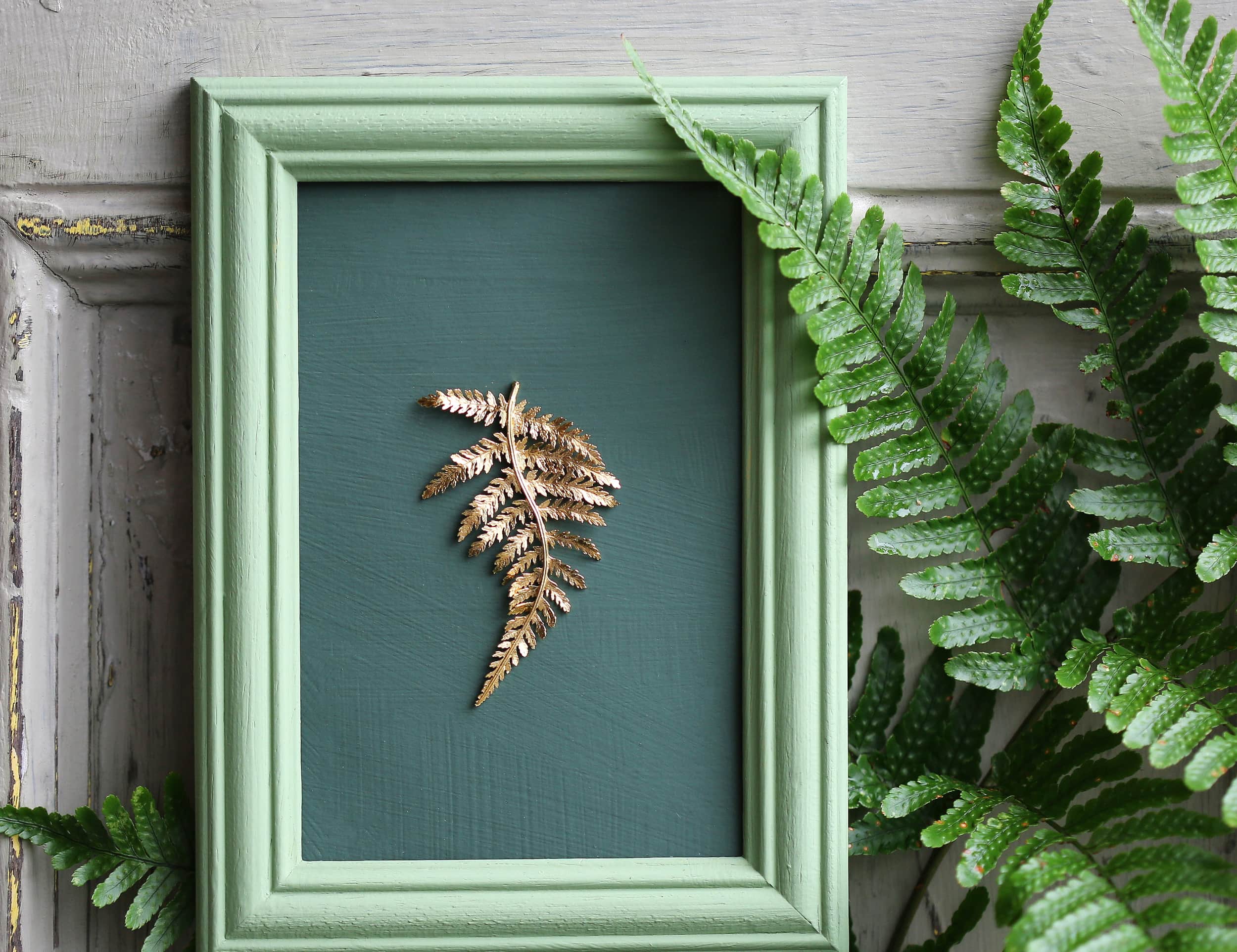 Large gold fern leaf stud earring displayed mounted in a green frame with green backboard, there are real ferns surrounding the frame.
