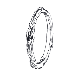 Line illustration of a stone set design Alex Monroe wedding ring.